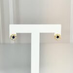 Zarcillos: Círculo de Zircones
