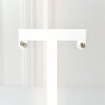 Zarcillos: Punto de Luz