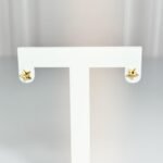 Zarcillos: Estrella Diamantado