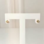 Zarcillos: Flor Punto de Luz